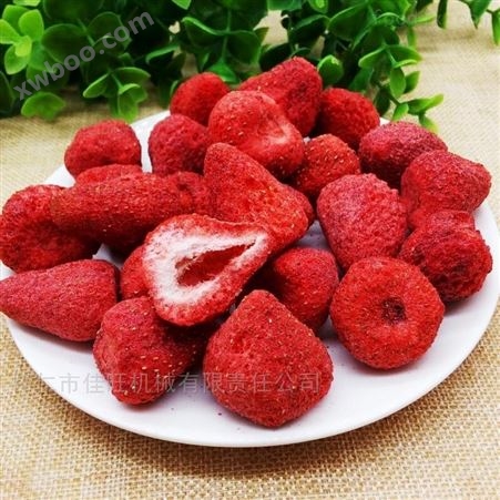 果蔬冻干机 草莓 冷冻干燥机 糖果生产线