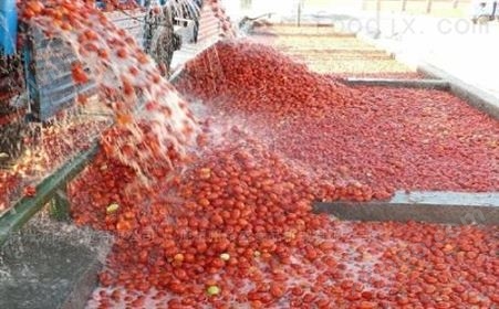 番茄酱生产设备