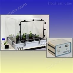 C13气体标记植物培养系统
