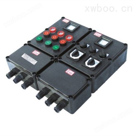 中兴防爆ZXF8044系列防爆防腐控制箱（II C）