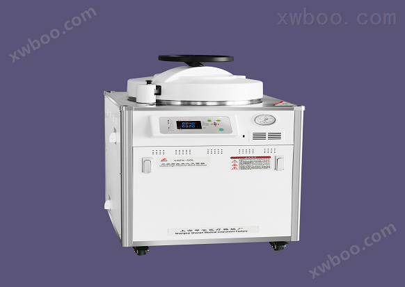 上海申安立式高压蒸汽灭菌器LDZX-50L-I0（非医用）