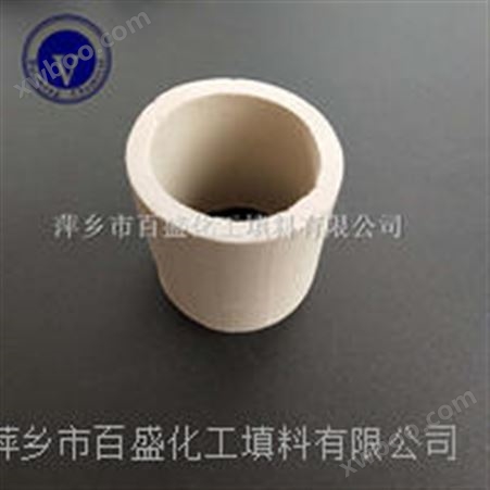 萍乡百盛化工洗涤塔效率高陶瓷一字环
