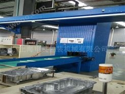 上海机器人配套生产线
