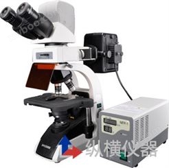 BM2000荧光生物显微镜