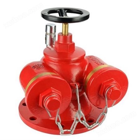 多用式地上消防水泵接合器SQD100/150 百安消防