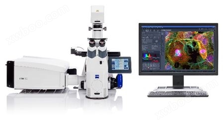 蔡司共聚焦显微镜LSM 980 搭载Airyscan 2技术