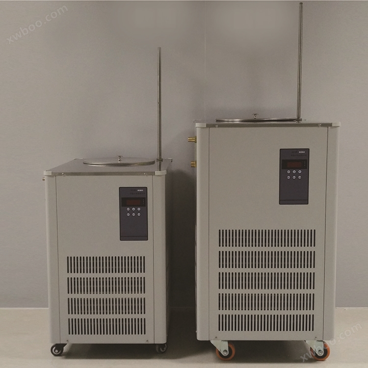 DLSB-100L低温循环泵