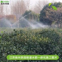 江苏扬州茶园喷灌水肥一体化施工案例