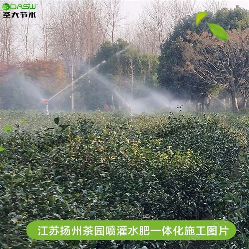 江苏扬州茶园喷灌水肥一体化施工案例