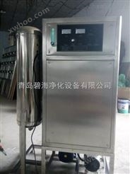 北京臭氧水机