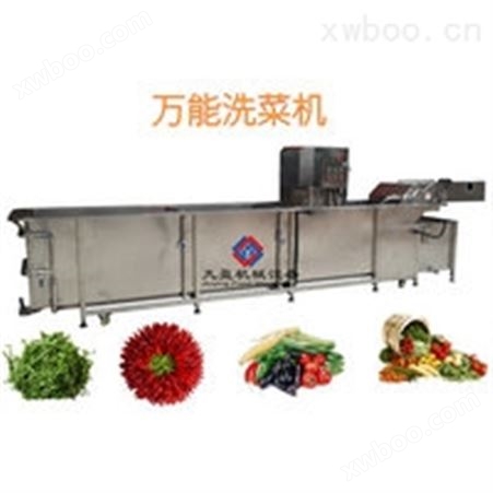 大型洗菜机JY-5000