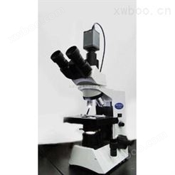 淀粉检测，淀粉观察专用显微镜
