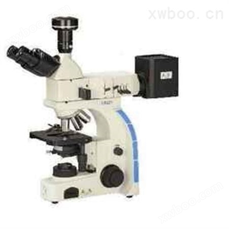 微电极观察显微镜