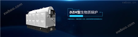 DZH型手烧生物质承压热水锅炉