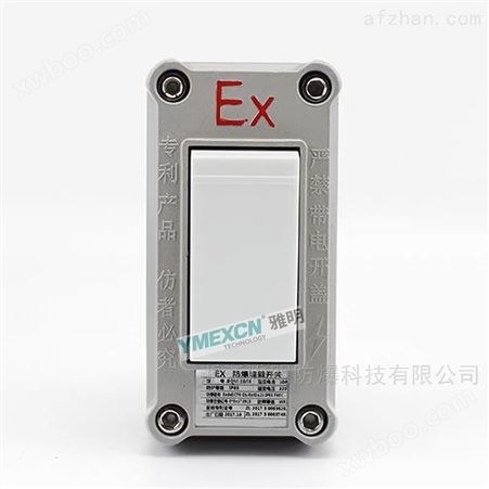 AC220V10A防爆照明开关ExdIICT6