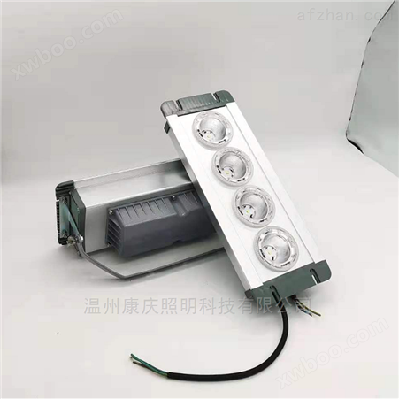 LED应急照明灯NFE9121B/K-T1 泛光应急灯
