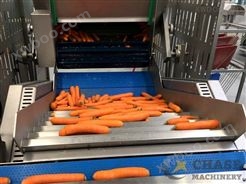 胡萝卜加工生产线