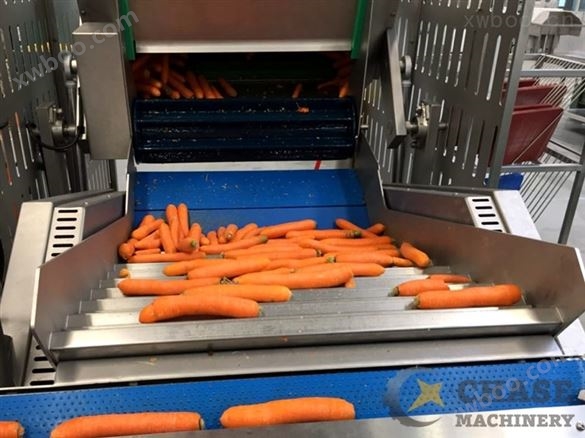 胡萝卜加工生产线